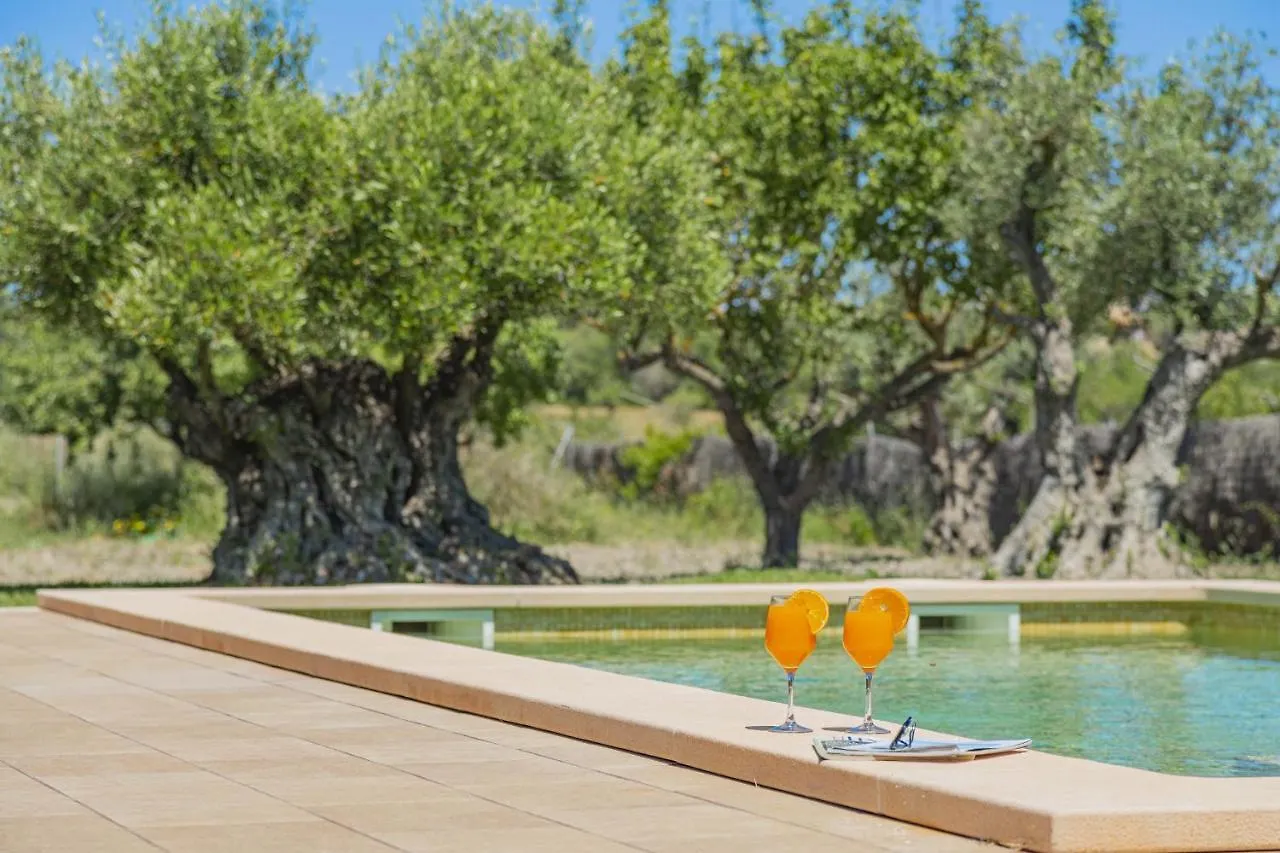 Villa Can Segue Alcudia