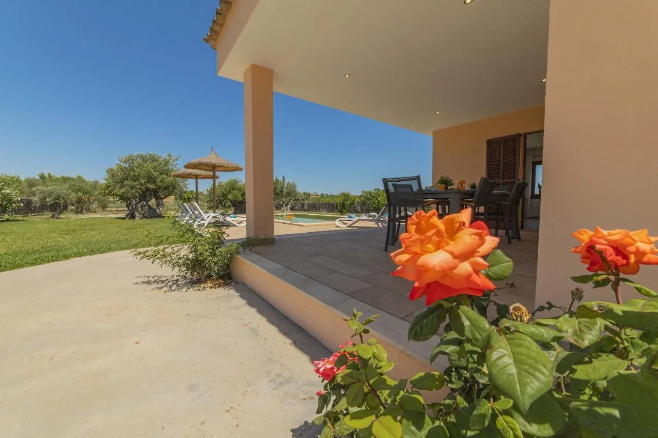 Villa Can Segue Alcúdia
